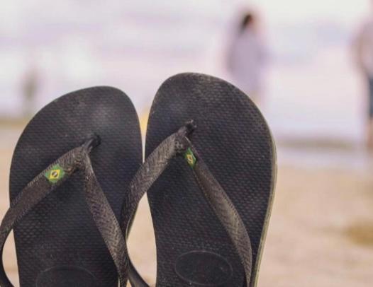 Un Petit Nid Les Pieds Dans L'eau *